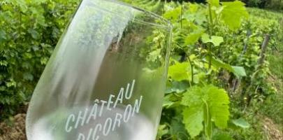 Chateau Picoron glass