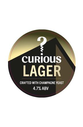 Curious Brew Lager