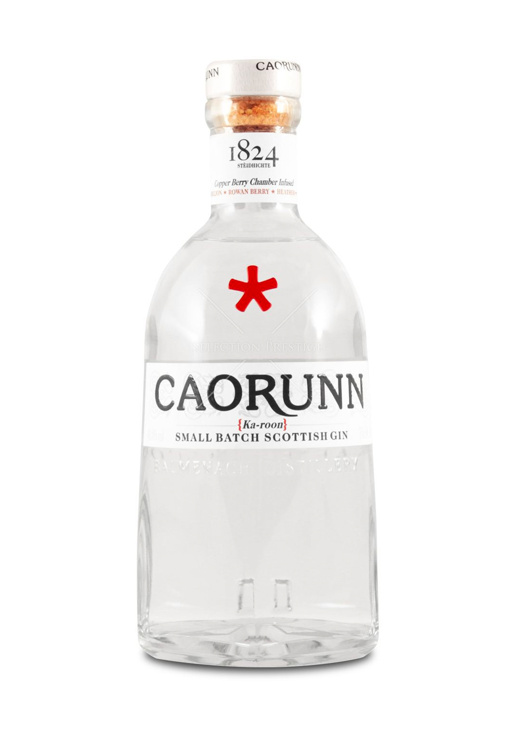 Caorunn Small Batch Scottish Gin