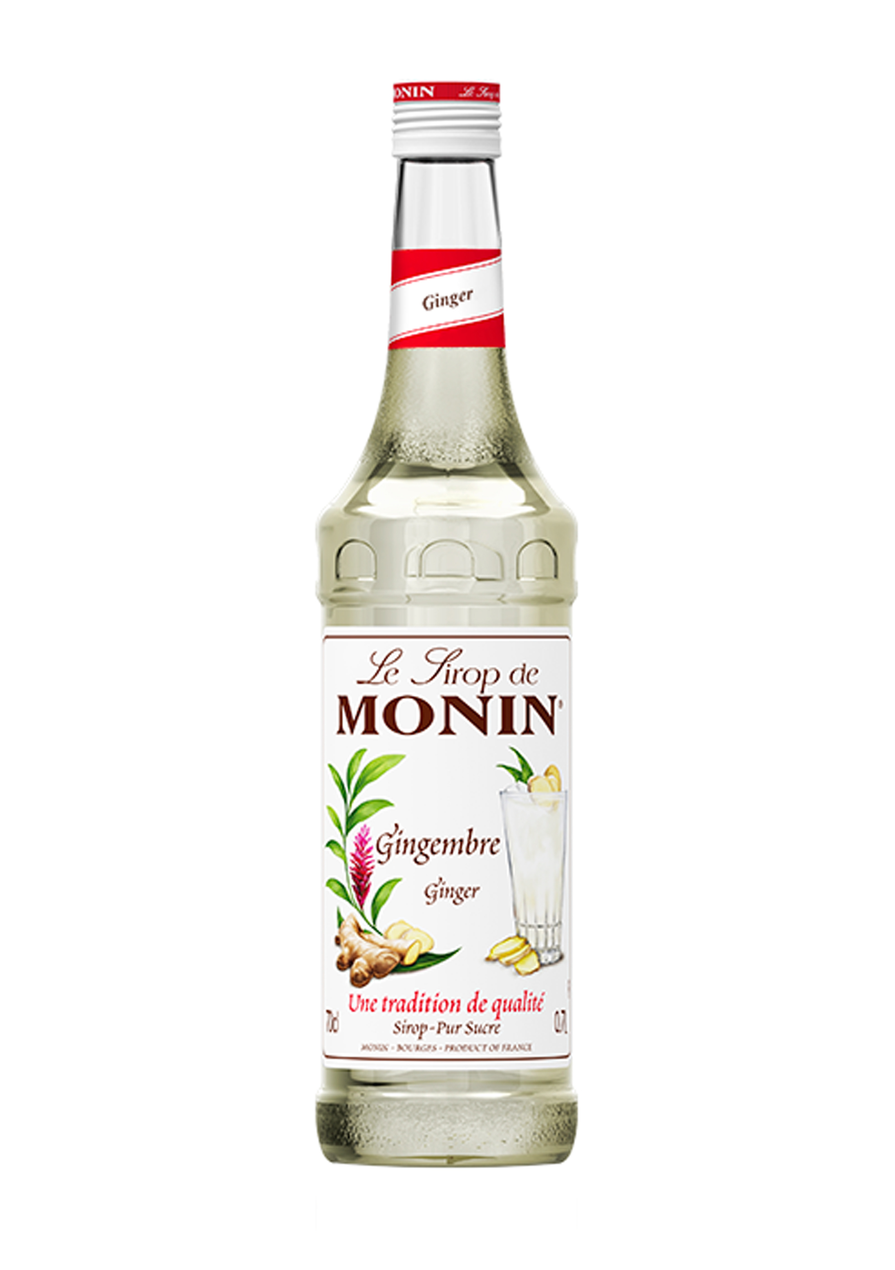 Monin Ginger Syrup