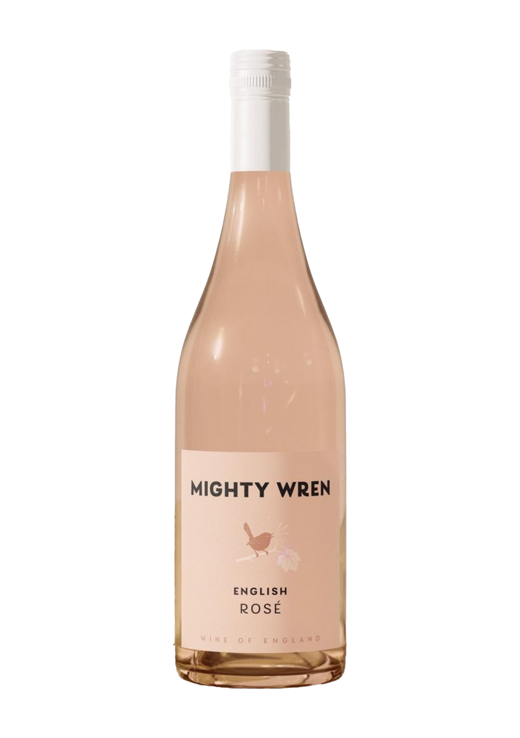 Mighty Wren English Rose