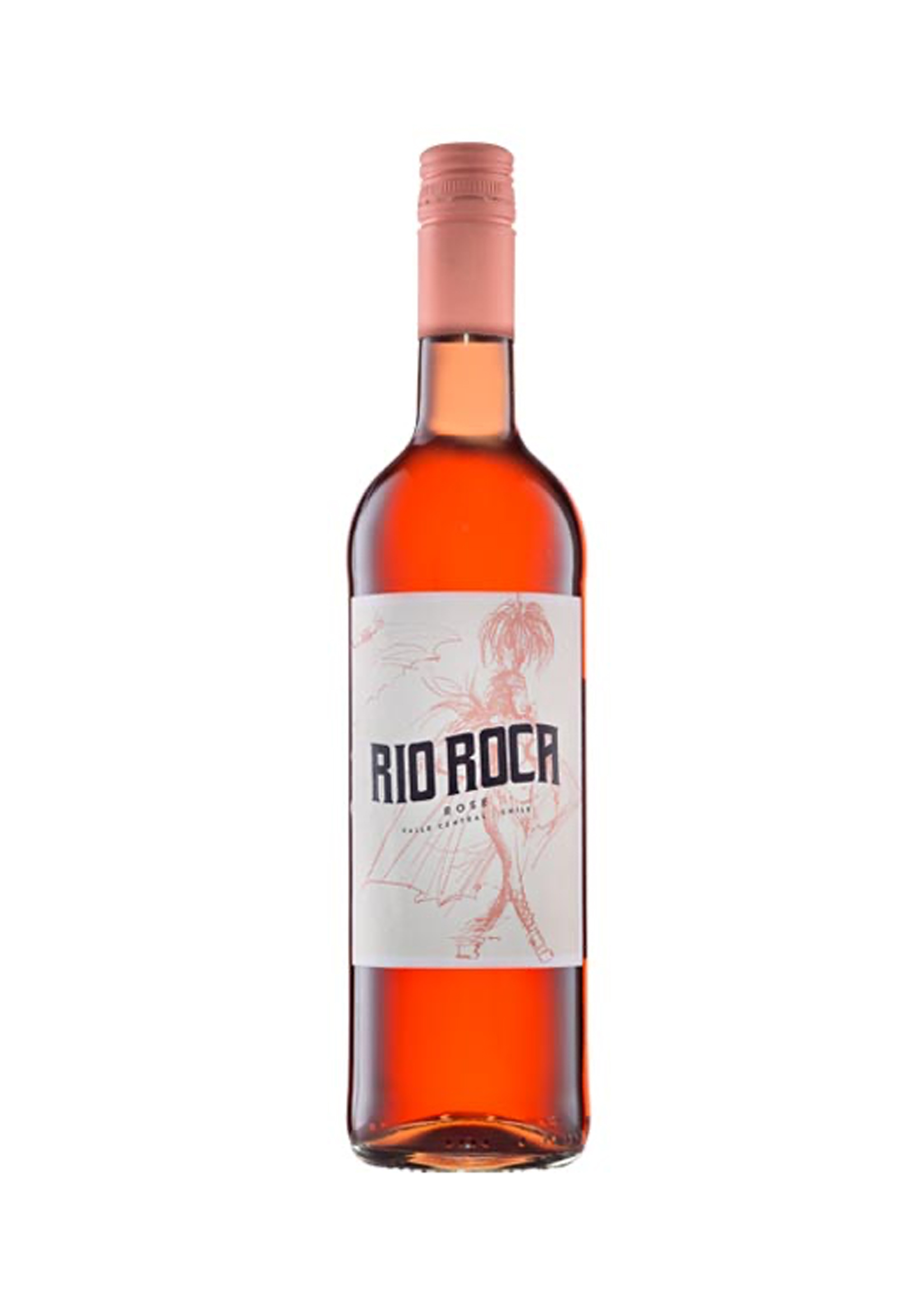 Rio Roca Rose